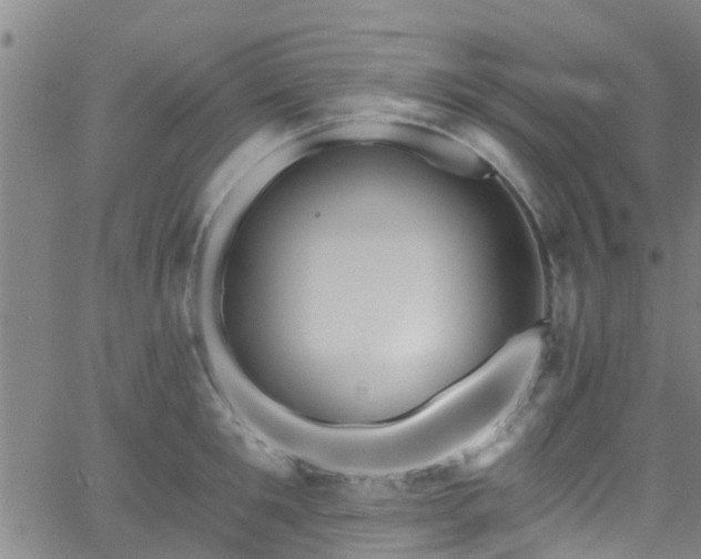 X0000058830901200510031344