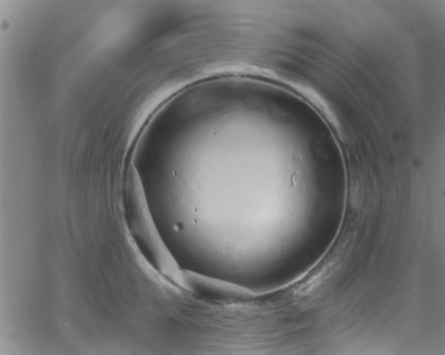 X0000058830903200510031343