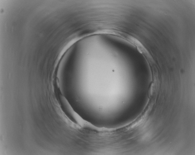 X0000058830908200510031343