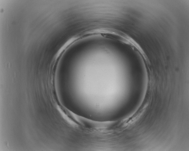 X0000058830909200510031343