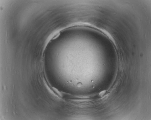 X0000058830911200510031343