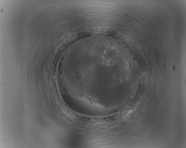 X0000058830913200510031343