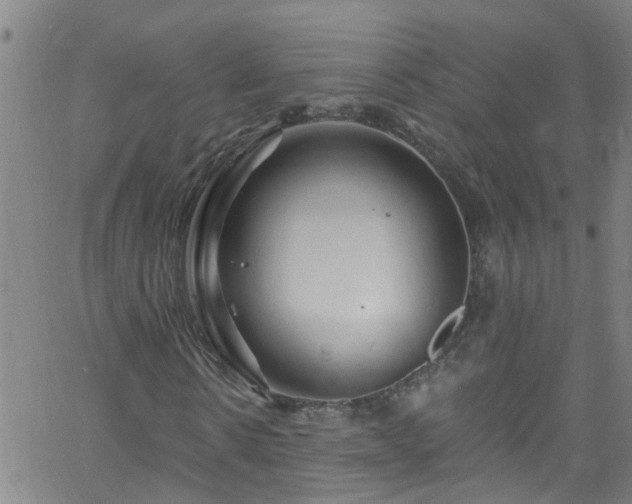 X0000058830914200510031343