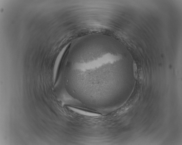 X0000058830916200510031343