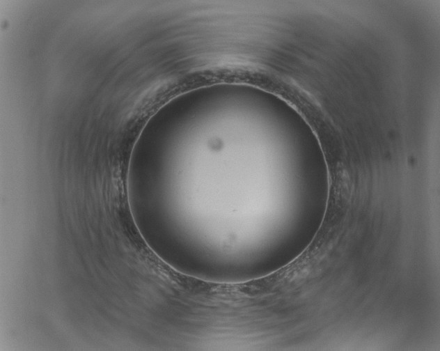 X0000058830918200510031343