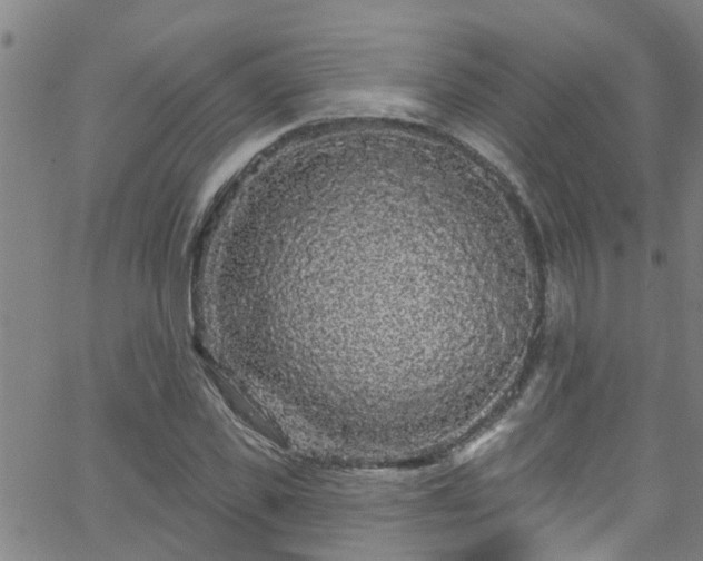 X0000058830925200510031343