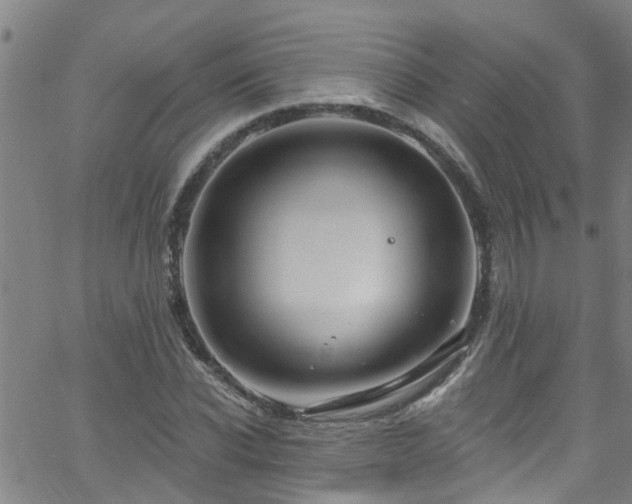 X0000058830926200510031343