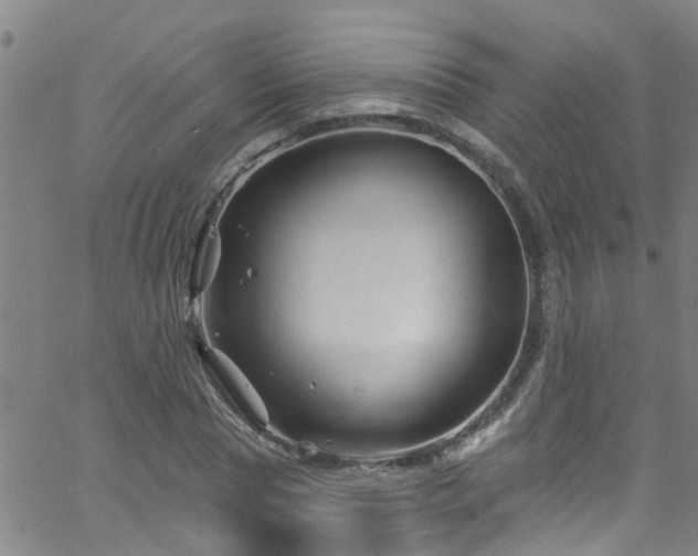 X0000058830929200510031343