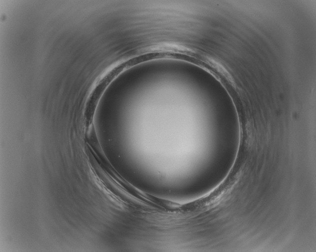 X0000058830931200510031343