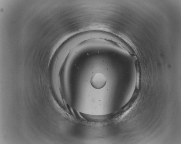 X0000058830934200510031343