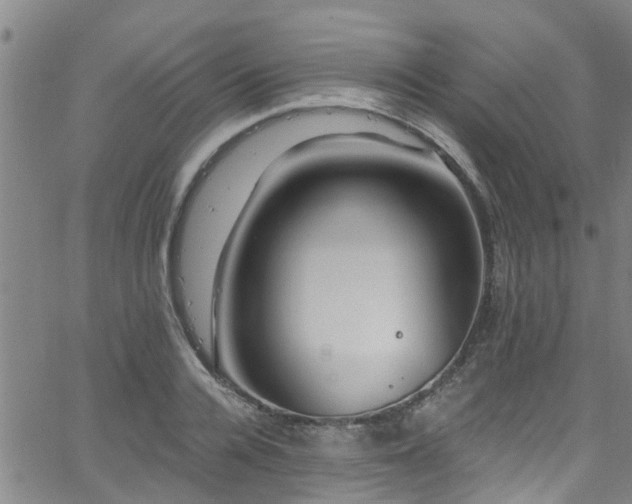 X0000058830936200510031343