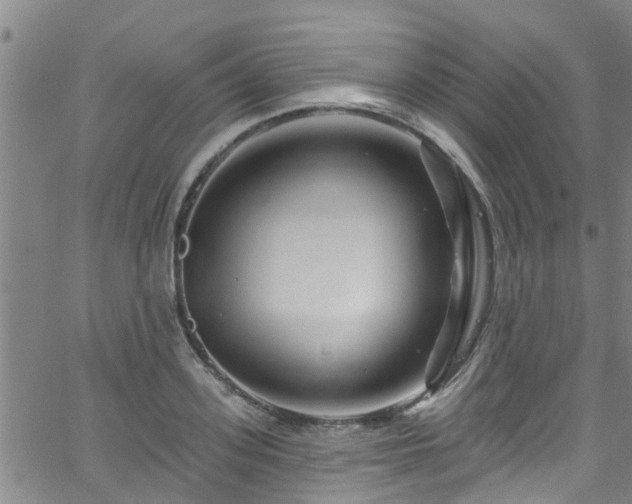 X0000058830939200510031343