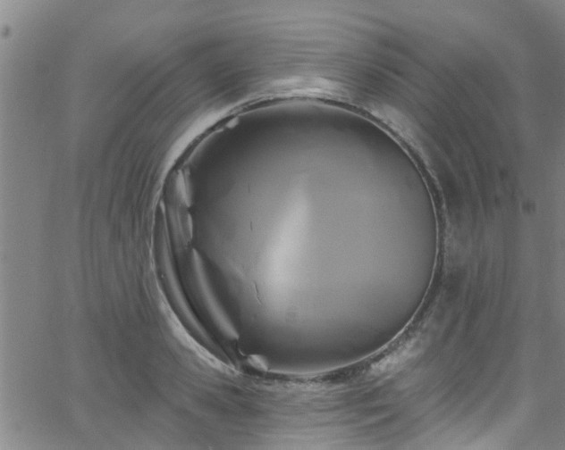 X0000058830941200510031343