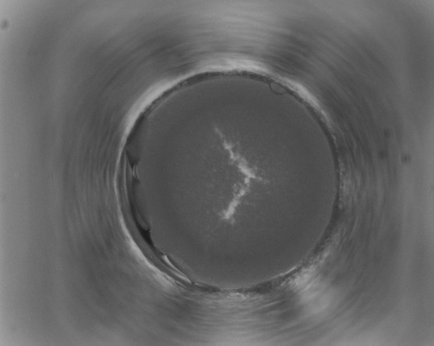 X0000058830943200510031343