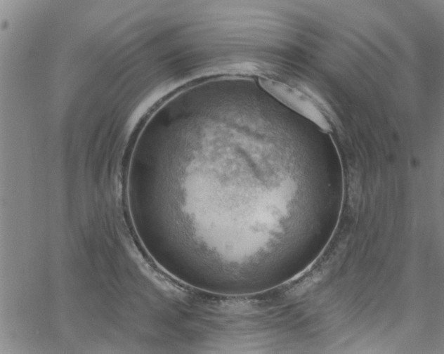 X0000058830944200510031343