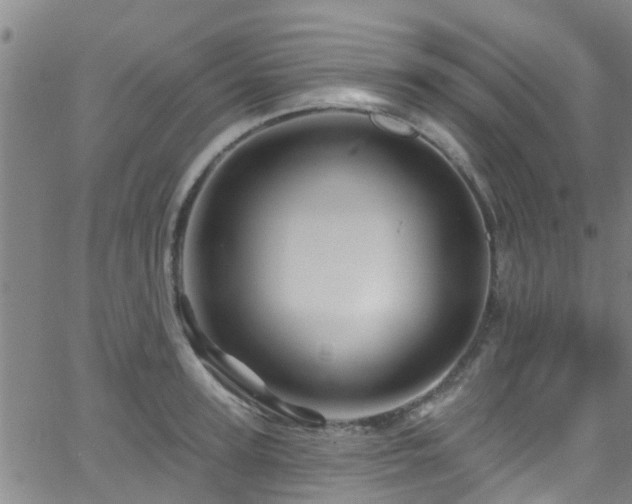 X0000058830947200510031343