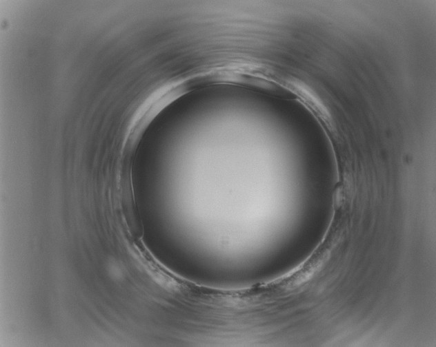 X0000058830948200510031343