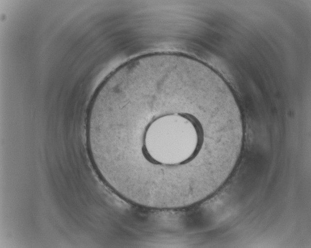 X0000058830950200510031343