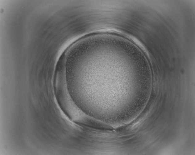 X0000058830951200510031343