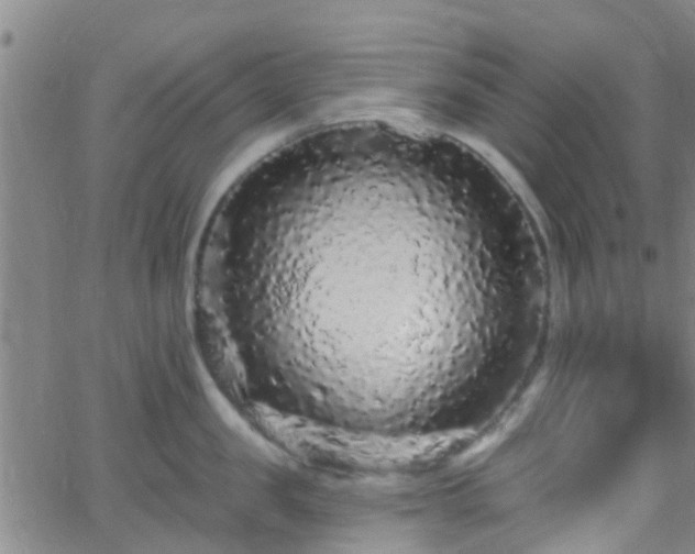 X0000058830957200510031343