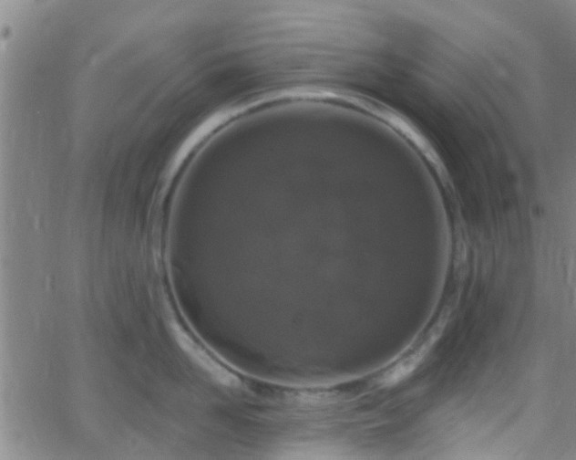 X0000058830958200510031343