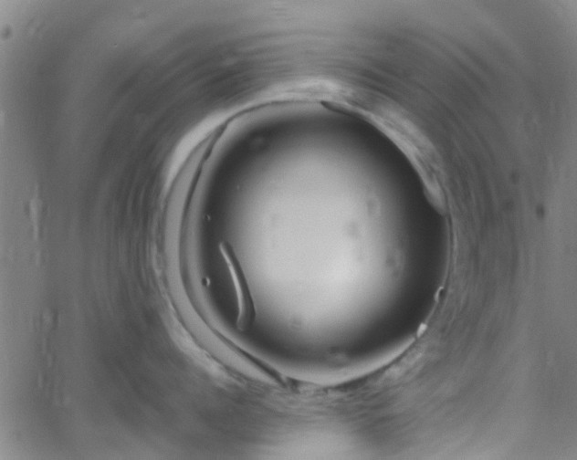 X0000058830960200510031343