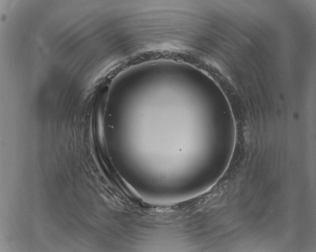 X0000058830968200510031342