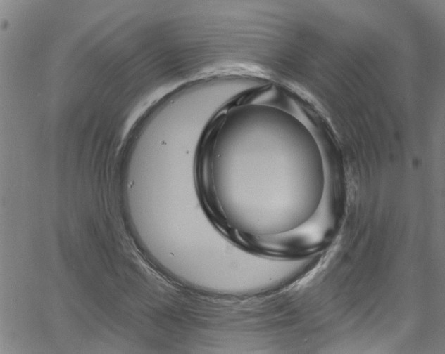 X0000058830973200510031342