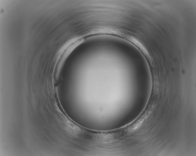 X0000058830996200510031342