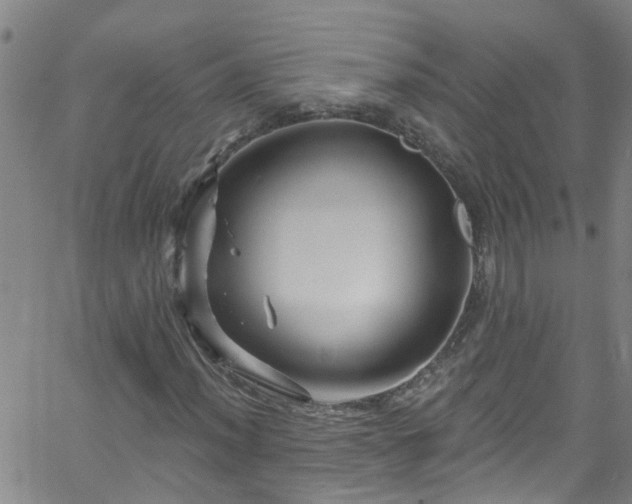 X0000058831012200510031341