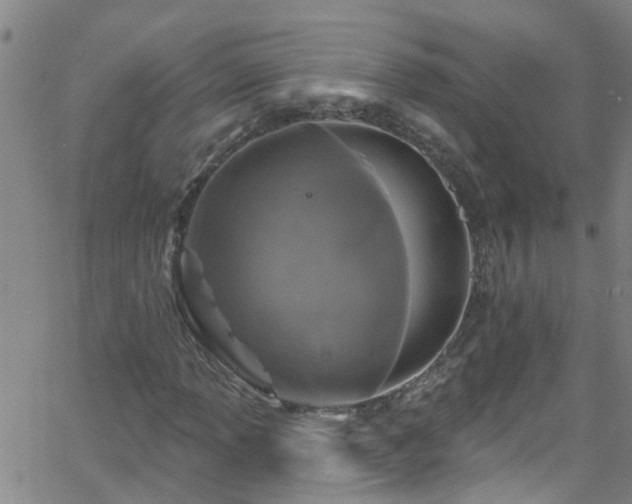 X0000058831013200510031341