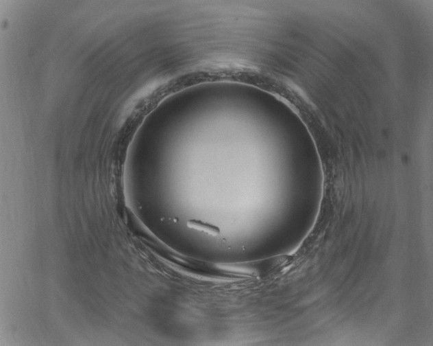 X0000058831016200510031341