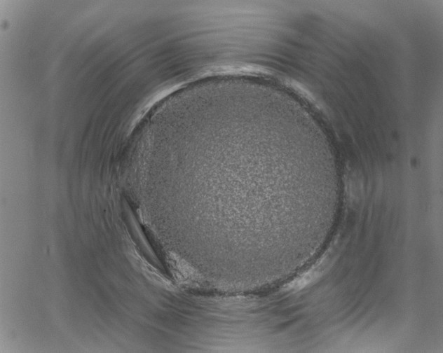 X0000058831025200510031341