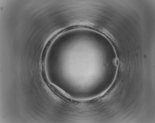 X0000058831028200510031341