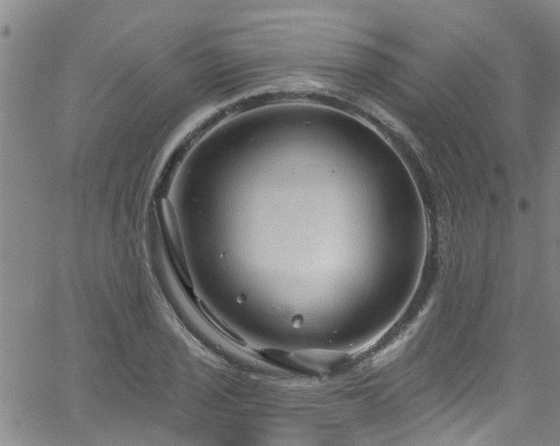 X0000058831029200510031341