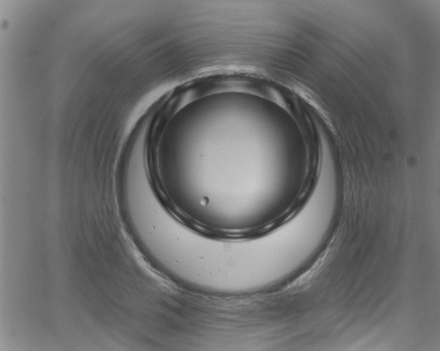 X0000058831030200510031341