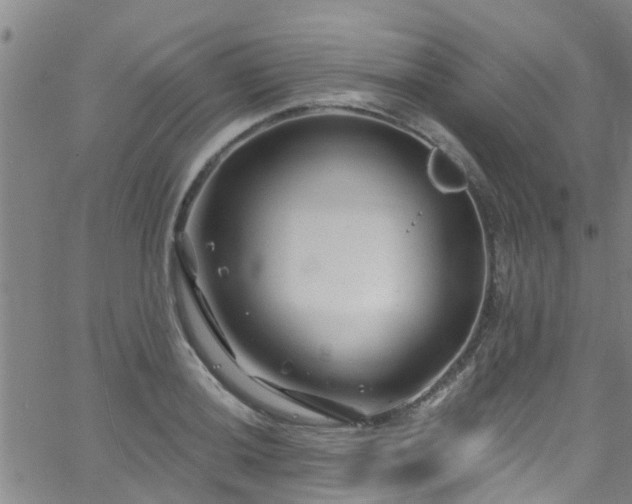 X0000058831036200510031341