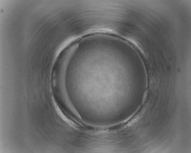 X0000058831038200510031341