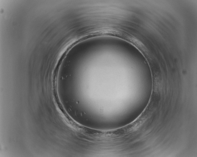 X0000058831039200510031341