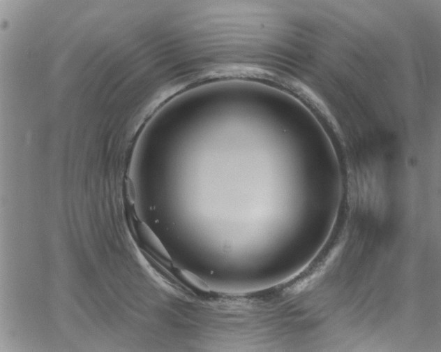 X0000058831041200510031341