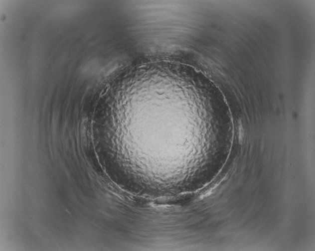 X0000058831059200510031341