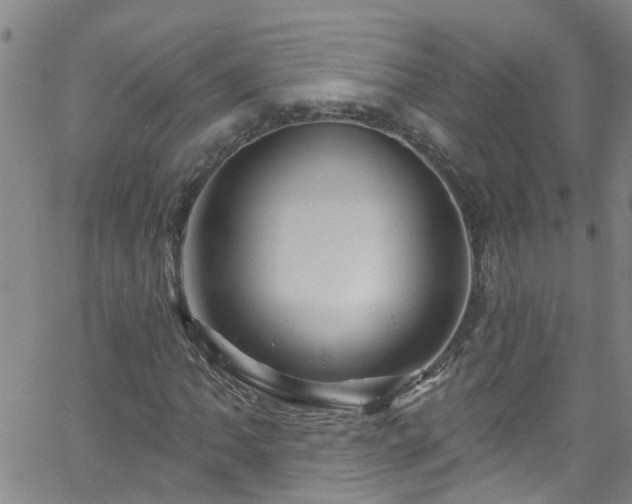 X0000058831062200510031341