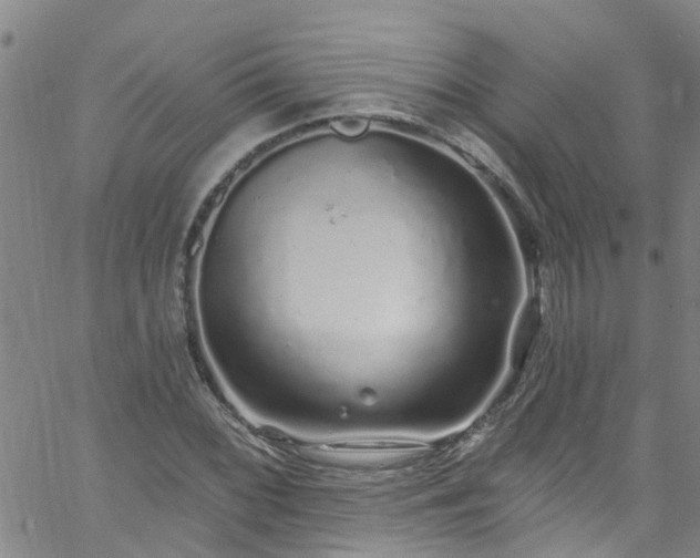 X0000058831068200510031341