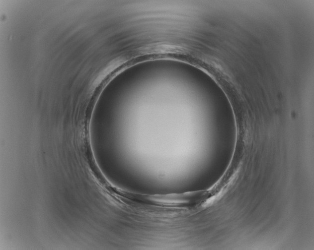 X0000058831073200510031341