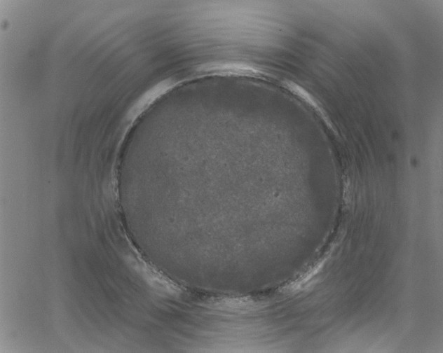 X0000058831074200510031341