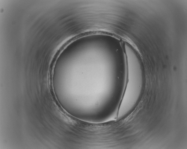 X0000058831076200510031341