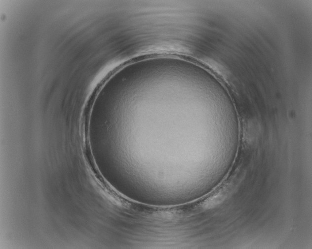 X0000058831078200510031341