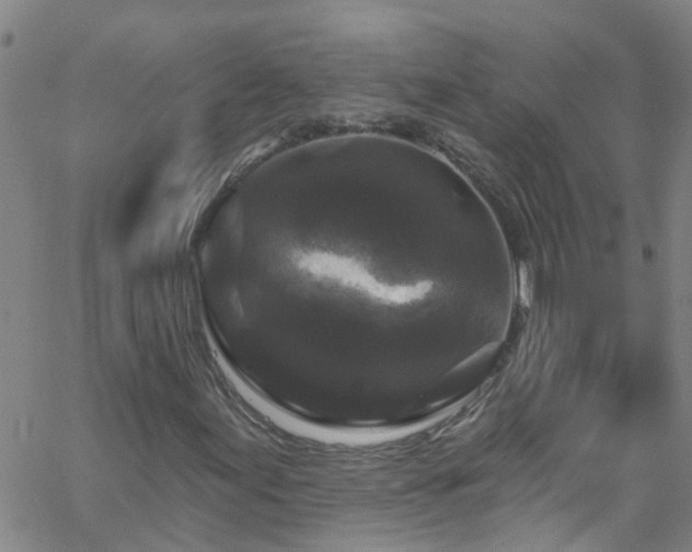 X0000058831155200510031339