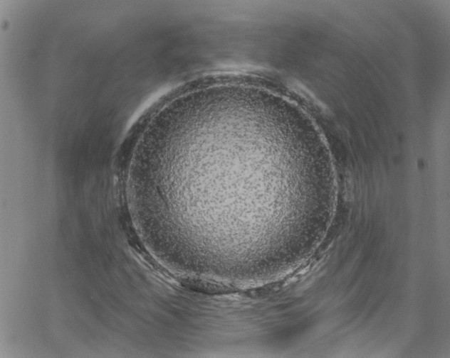 X0000058831208200510031338