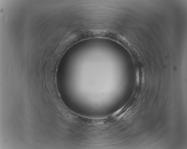 X0000058831249200510031338